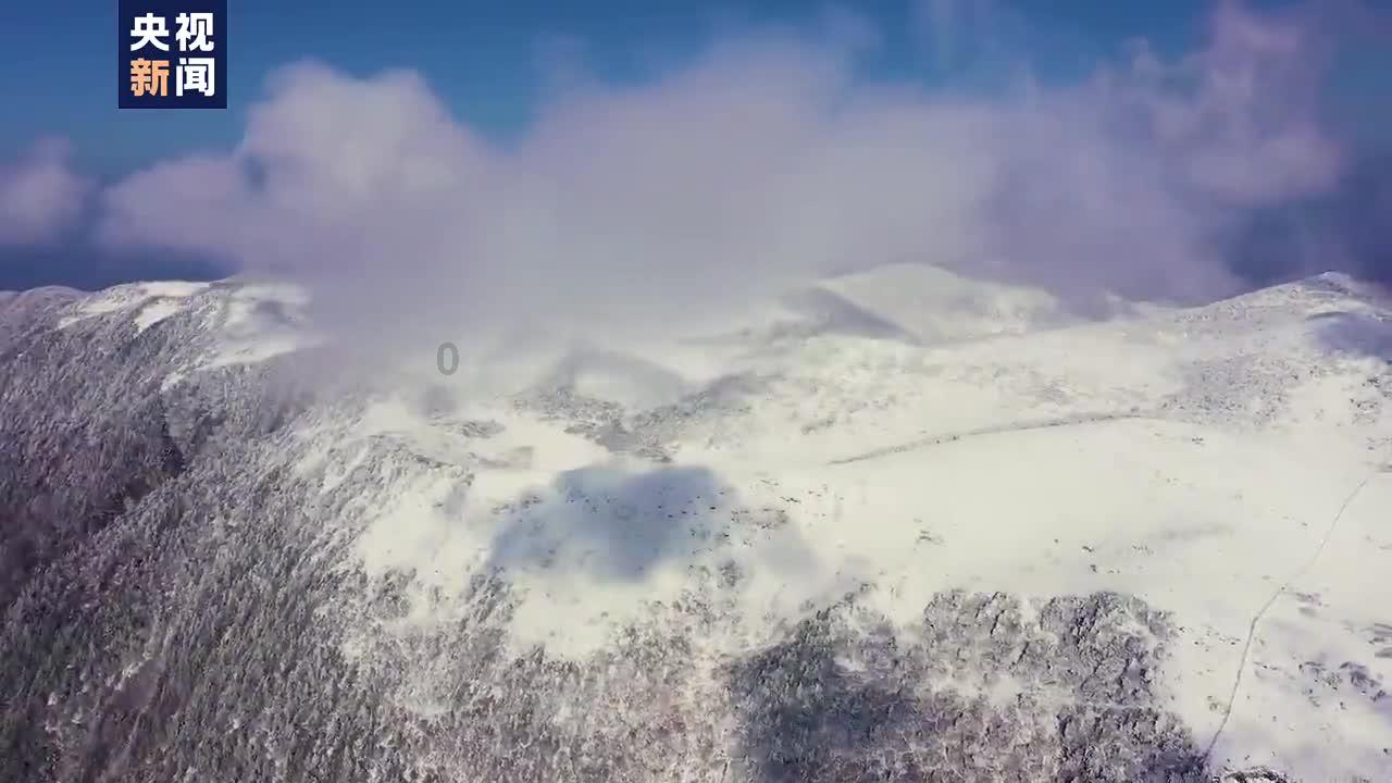 三小只僵尸的游戏时间6